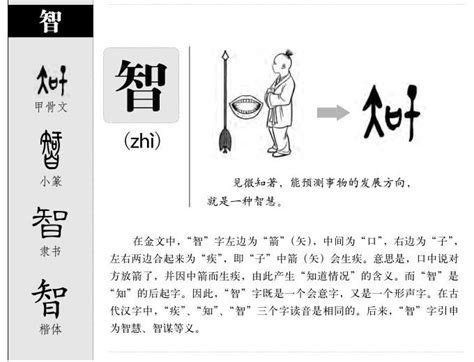 智的五行|智字的五行属性分析康熙字典笔画数含义寓意详解